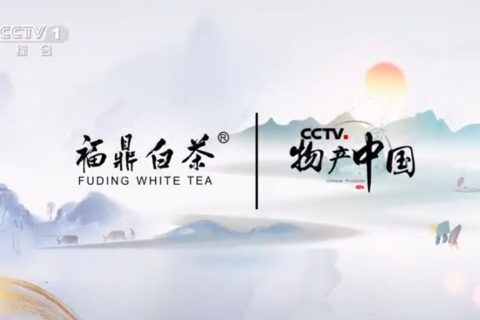 福鼎白茶、西湖龍井-物産中國(guó)公益項目